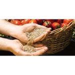 Semilla De Tomate - Germoveg´S