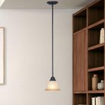 Lampara-Colgante-Color-Negro-1-Luz---Z