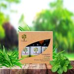 Kit Congestivo Y Gripe (Romero, Menta Y Eucalipto) - D Natura