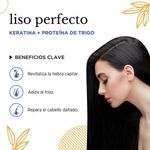 Mascarilla Capilar Liso Perfecto - Shalom