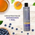 Shampoo Platinado 12 Oz - Shalom