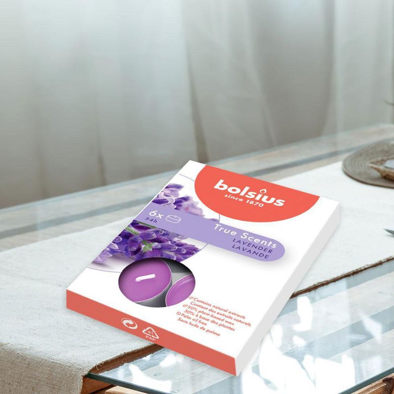 Caja De Velas Teal Violeta Lavanda 6 Unidades - Bolsius