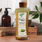 Shampoo Reestructurante 500 Ml - Arbol Verde