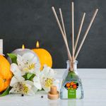 Difusor Petite Aroma Wild Citrus - Sinovelas