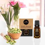 Cardamomo