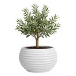 Maceta Bromelia Blanca  42 x 48 Cm