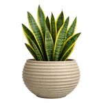 Maceta Bromelia Granito Arena 42 x 48 Cm