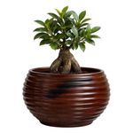 Maceta Bromelia Antique Rusty 42 x 48 Cm