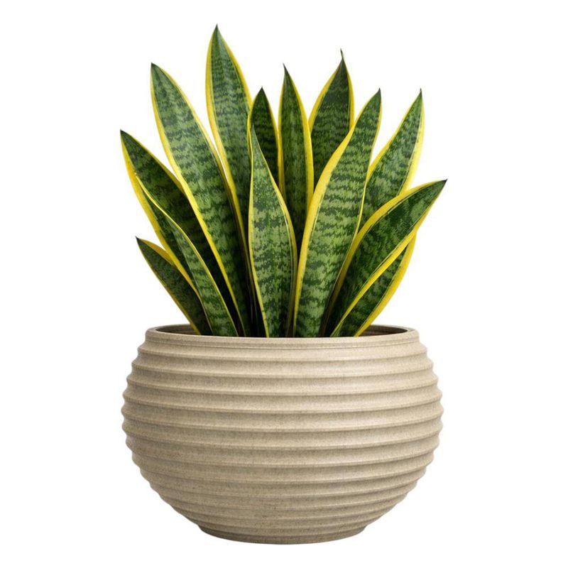 Maceta Bromelia Granito Arena 36 x 37 Cm - Vassart