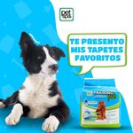 Tapete-de-Entrenamiento-Higienico-para-Perro-7-pzas---Pet-Spa