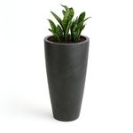 Maceta Verona Tall Negro Antiguo