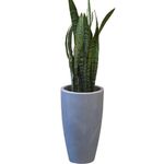 Maceta Verona Tall Cemento Antiguo 30 x 53 Cm - Vassart