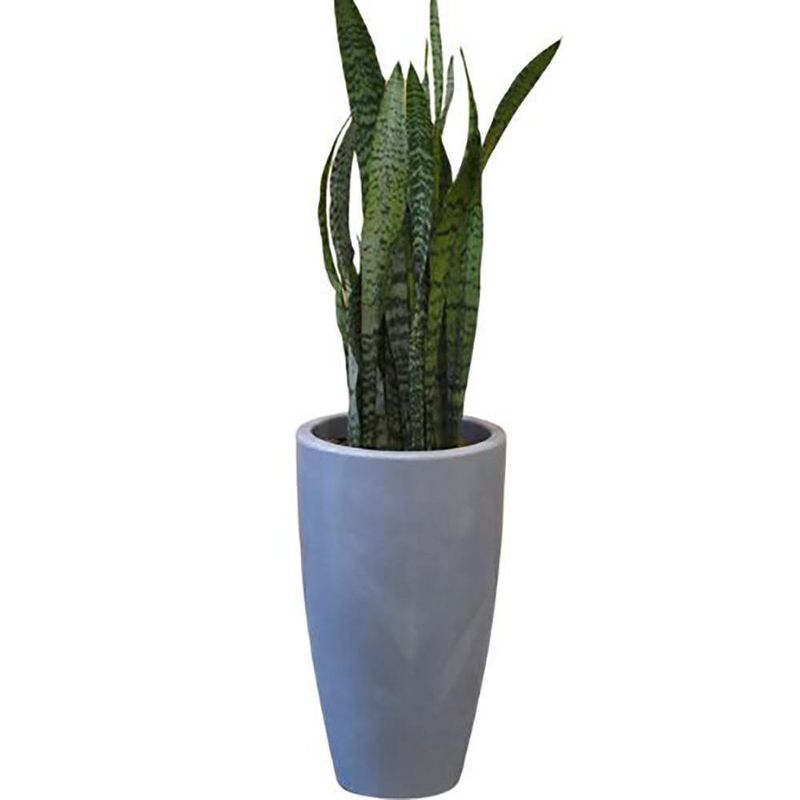 Maceta Verona Tall Cemento Antiguo 30 x 53 Cm - Vassart