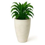 Maceta Verona Tall Blanco Antiguo 52 x 90 Cm