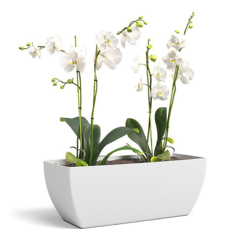 Maceta-Siena-Plant-Box-Blanca-30-Cm---Artevasi