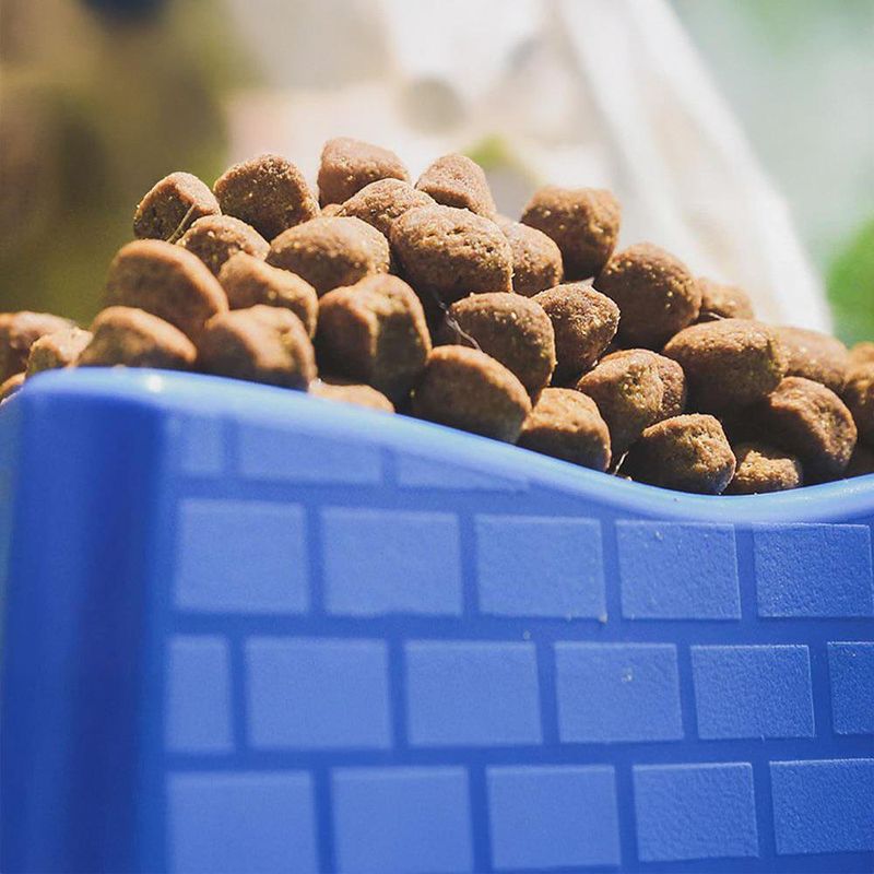 Concentrado Select Calorías Controladas para Gatos Adultos 15 Kg