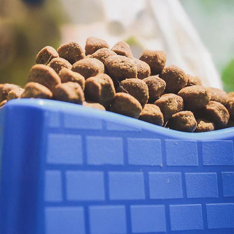 Concentrado Select Calorías Controladas para Gatos Adultos 7 Kg