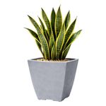 Maceta Malta Square Granito Piedra 30 x 30 Cm - Vassart