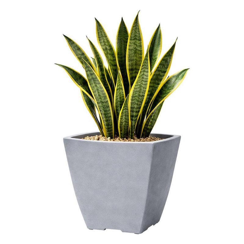 Maceta Malta Square Granito Piedra 30 x 30 Cm - Vassart