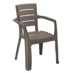 Silla Baru Con Brazos Mocca - W/O