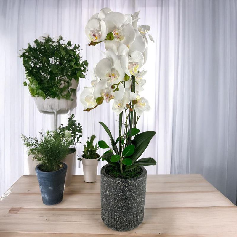 Orquídea Artificial Blanca con Maceta 72 cm