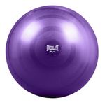 Bola de Ejercicio 55 cm