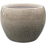 Maceta-de-Metal-Dusted-Pearl-4-Plg---Robert-Allen
