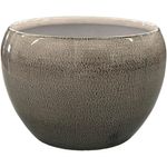 Maceta-de-Metal-Dusted-Pearl-5-Plg---Robert-Allen